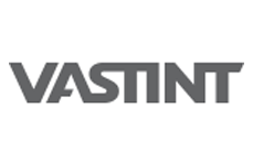 vastint-1